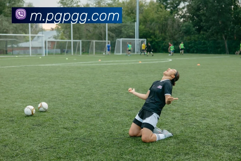 nba投注网站APP 高清赛事图